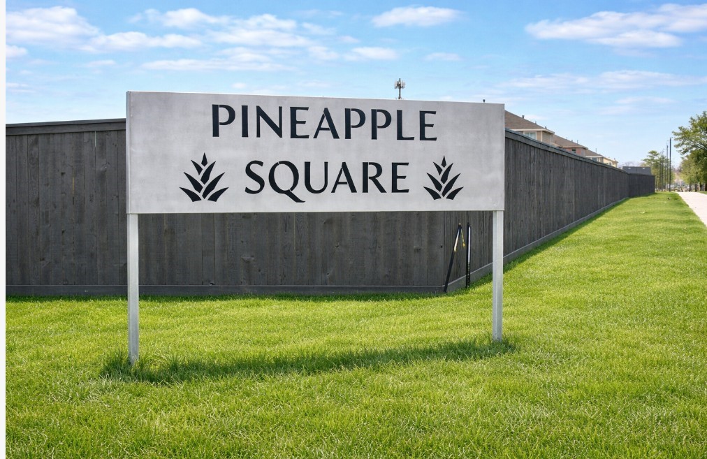 11714 Watermelon Street Houston, TX 77048 - Photo 5 of 6 a view of a back yard