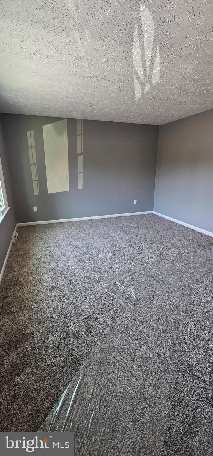 125 Brunswick Road Stephens City, VA 22655 - Photo 3 of 14