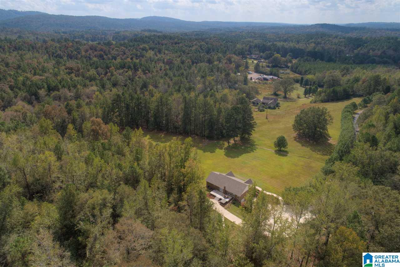 330 Conelia Lane Hayden, AL 35079 - Photo 32 of 38
