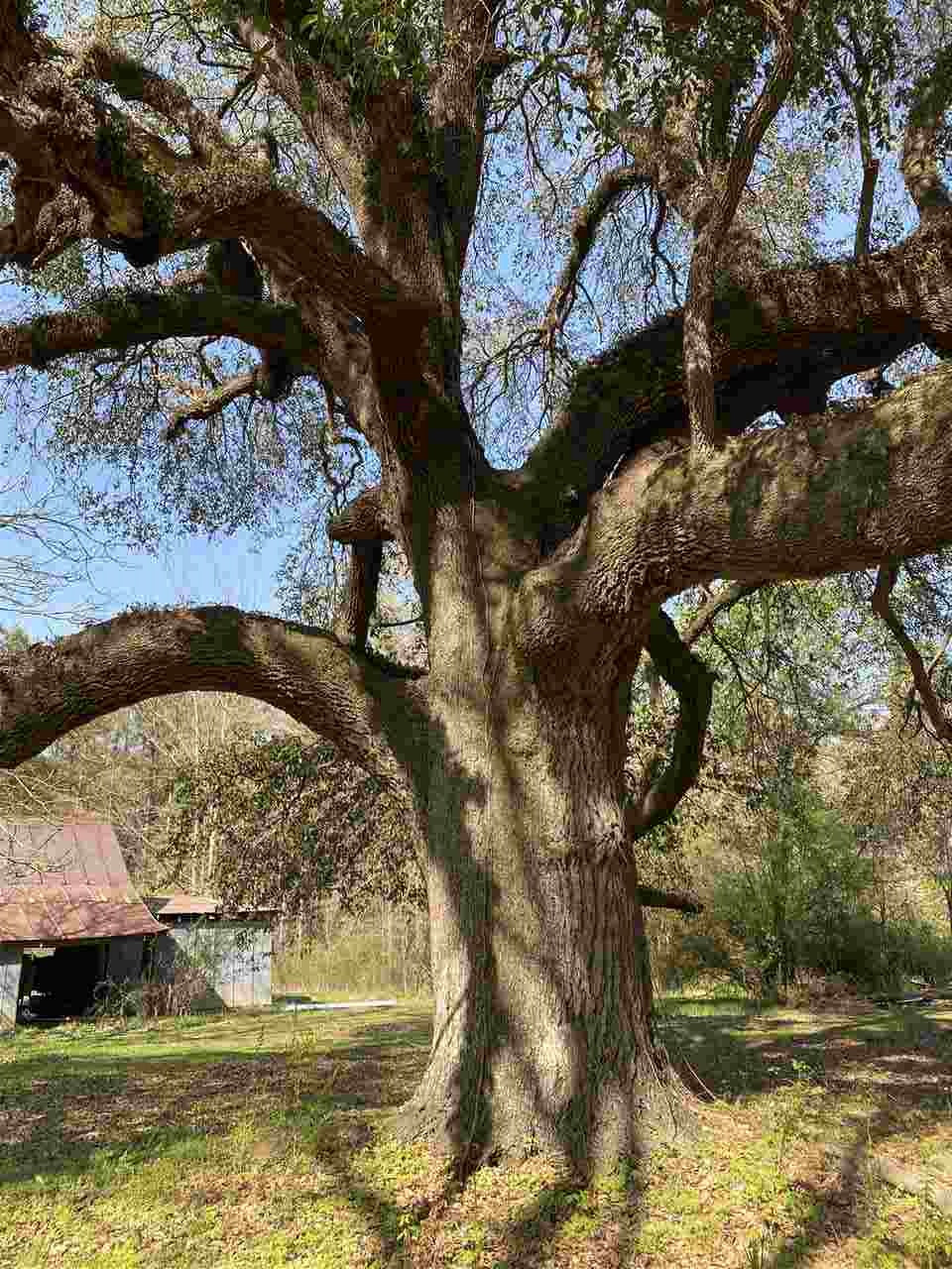 421 Mt Elam Road Canton, MS 39046 - Photo 13 of 16 Photo 13