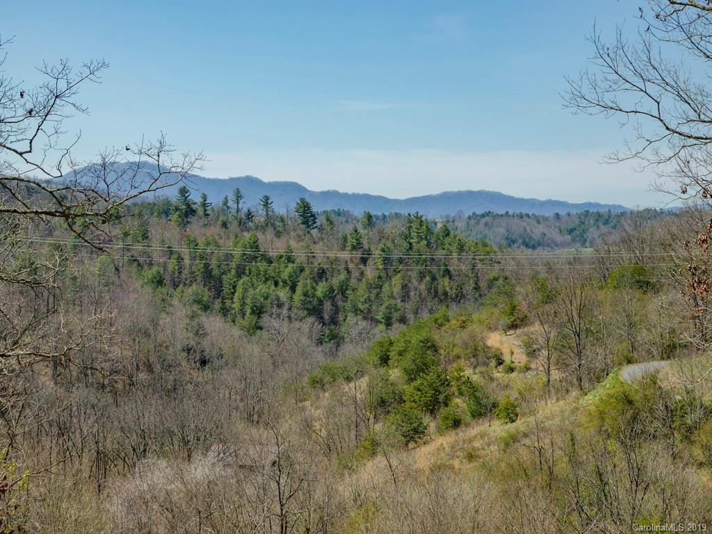 1021 Grandview Road Alexander, NC 28701 - Photo 8 of 28 Gallery Image 8