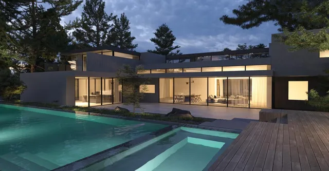 a view of a forest with trees