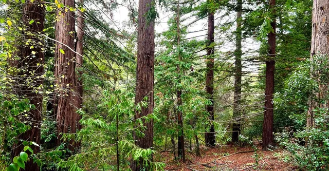 an aerial view of a house with yard