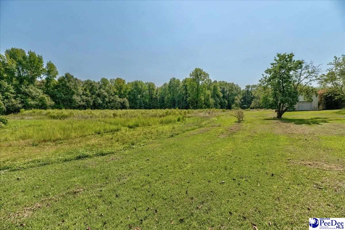 2357 Bethlehem Road Hartsville, SC 29550 - Photo 33 of 44 Gallery Image 33