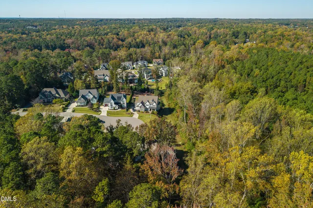 a view of a garden with a fountain