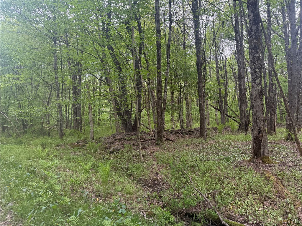Lot #9 Lost Ridge Road, Unit 9 Camden, NY 13316 - Photo 3 of 27