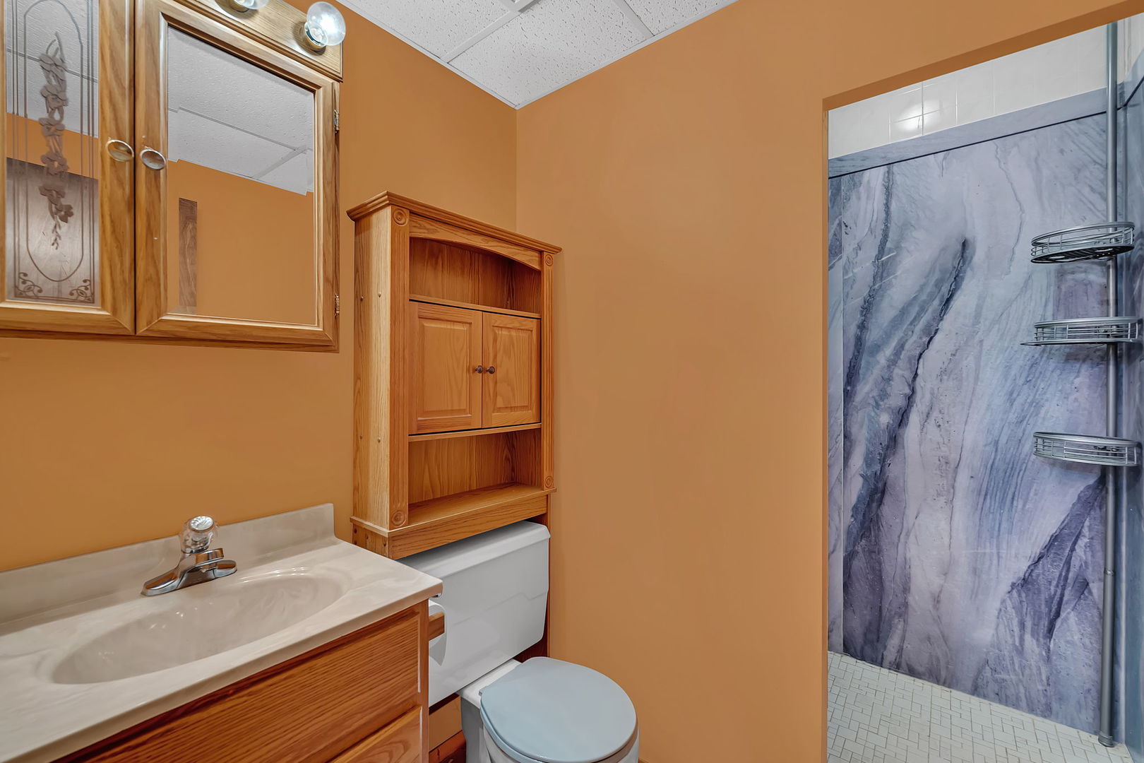 1280 Alicia Drive Morris, IL 60450 - Photo 21 of 28