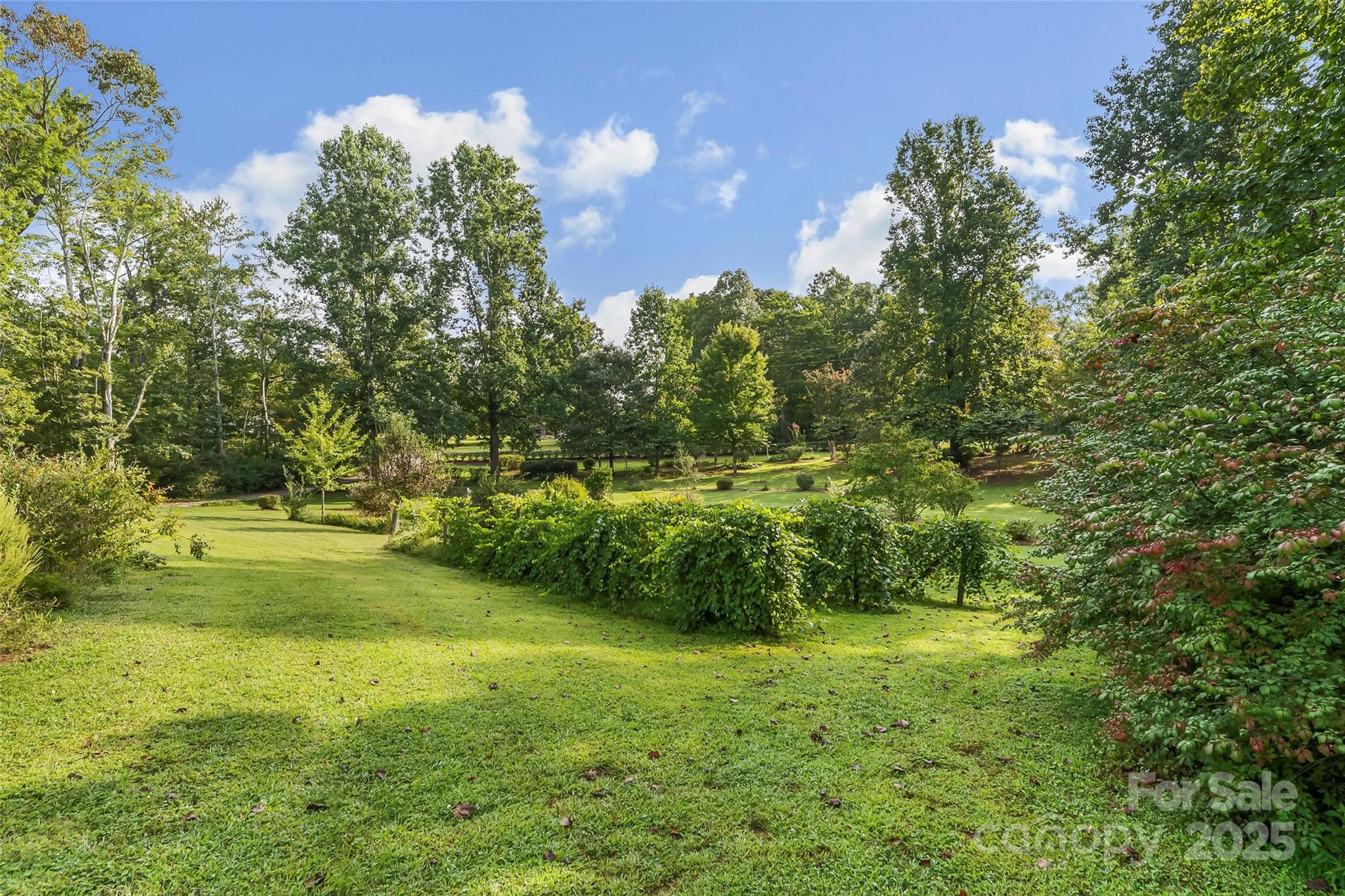 107 Zebell Road Nebo, NC 28761 - Photo 8 of 40 Gallery Image 8