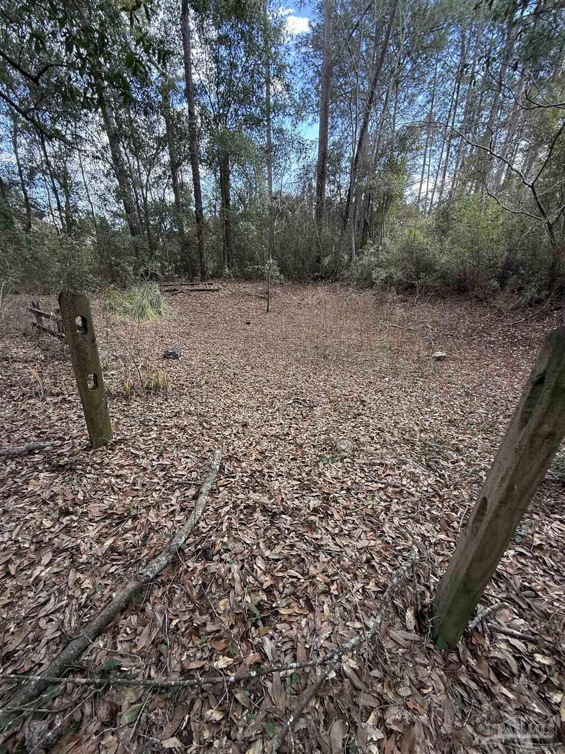 3928 Reinhardt Village Road Milton, FL 32583 - Photo 5 of 15