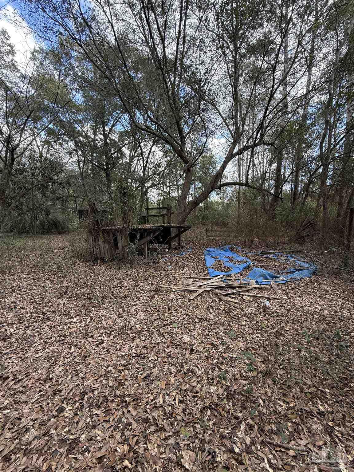 3928 Reinhardt Village Road Milton, FL 32583 - Photo 7 of 15