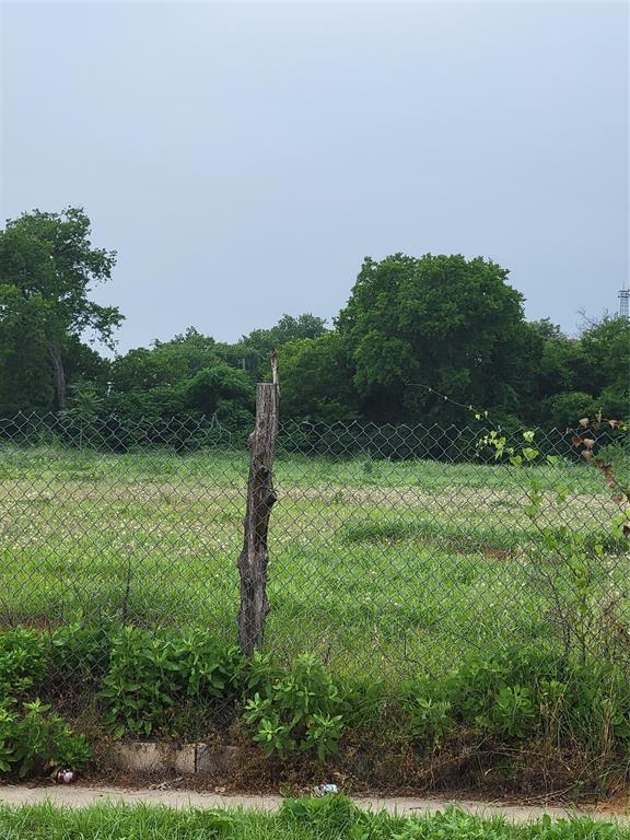 4723 Collins Avenue Dallas, TX 75210 - Photo 13 of 18 a view of a green field with lots of bushes