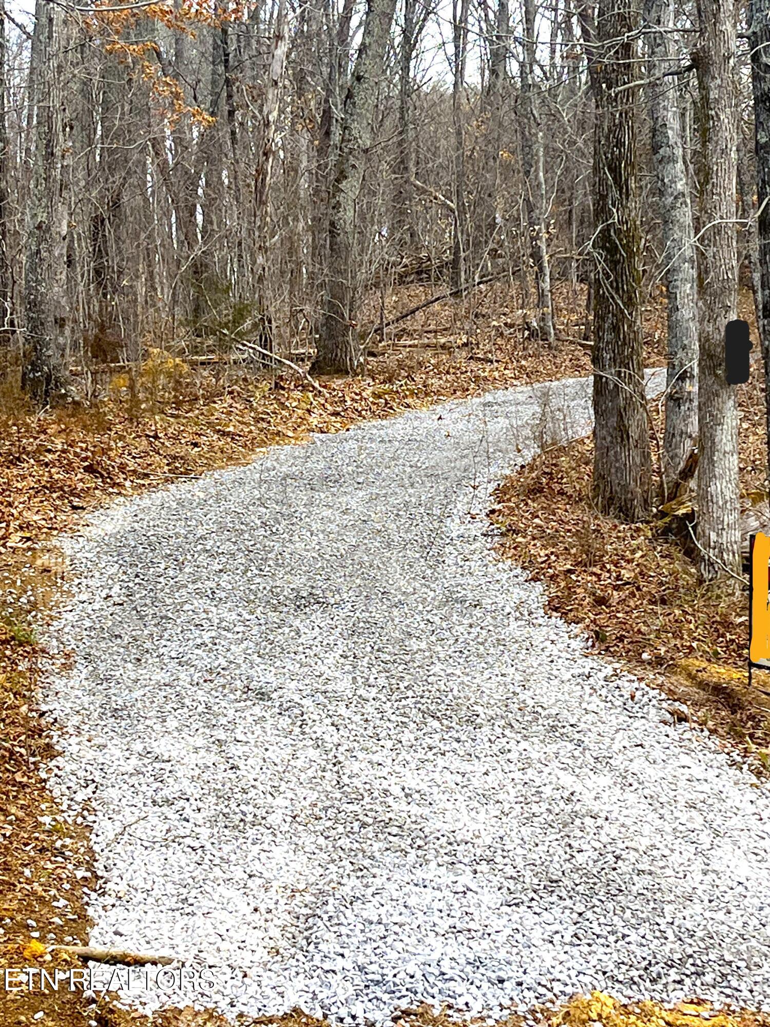 5-acres Red Hill Road Newport, TN 37821 - Photo 1 of 13 Driveway 2