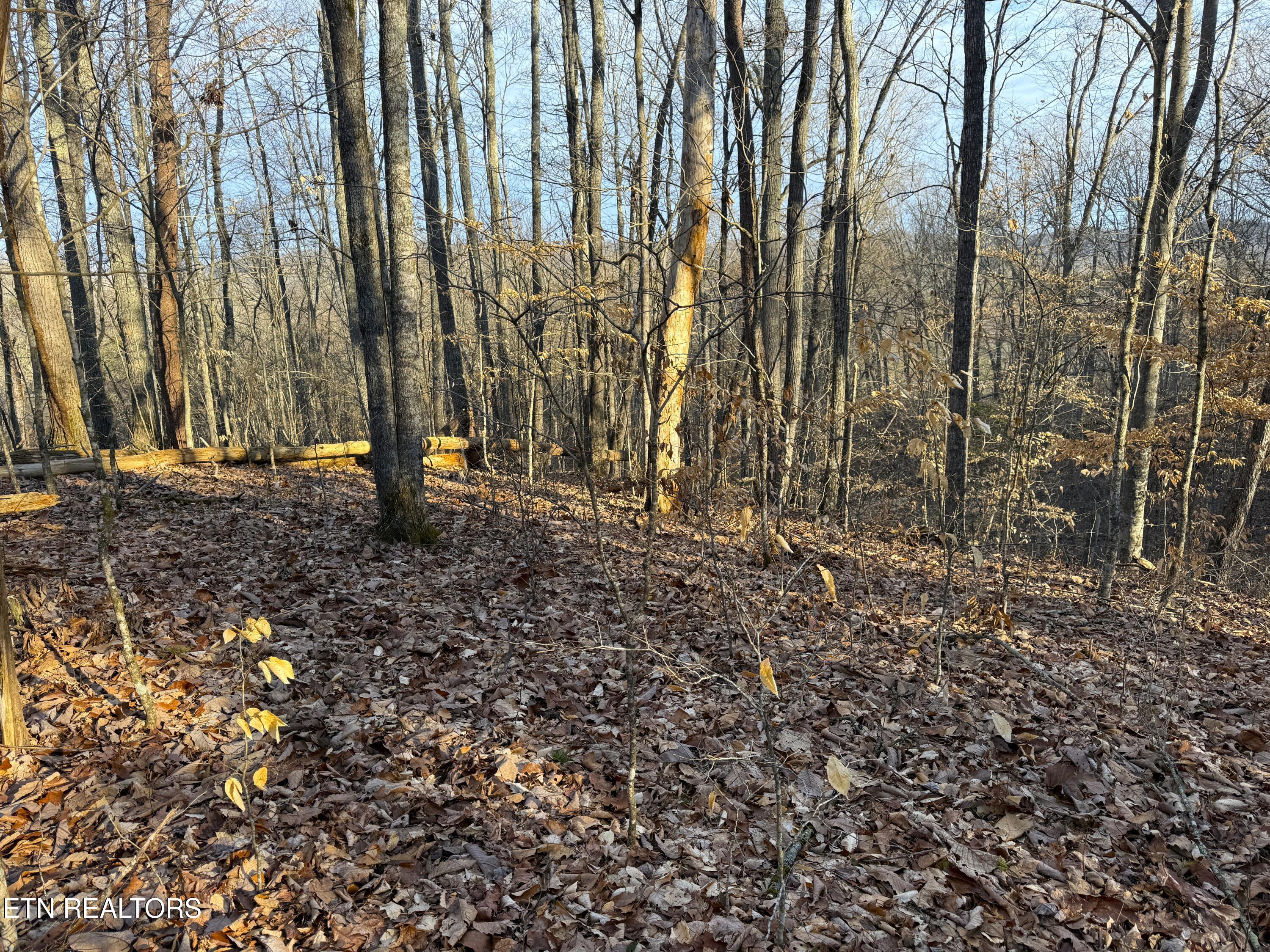 5-acres Red Hill Road Newport, TN 37821 - Photo 5 of 13 5