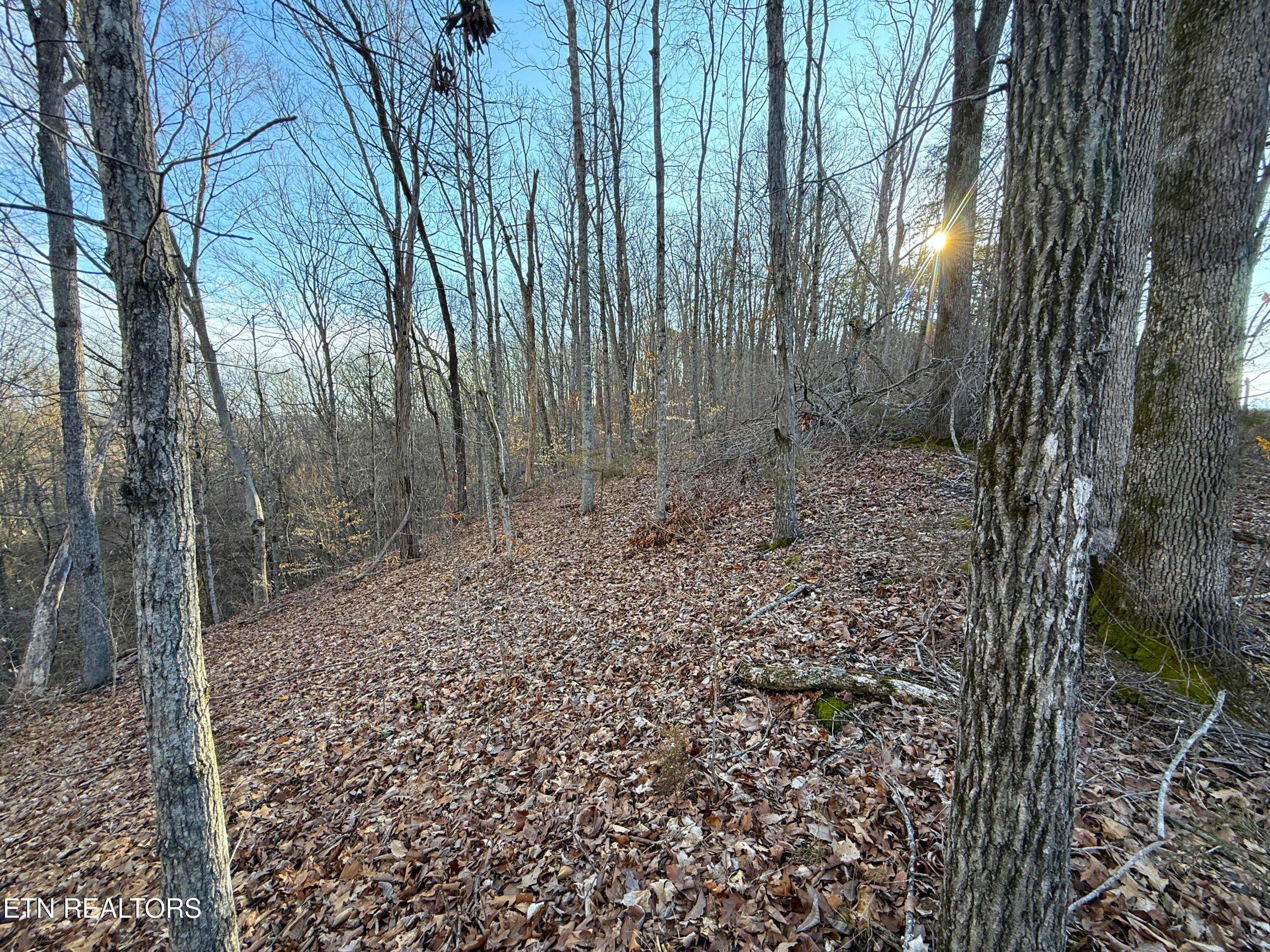 5-acres Red Hill Road Newport, TN 37821 - Photo 8 of 13 8