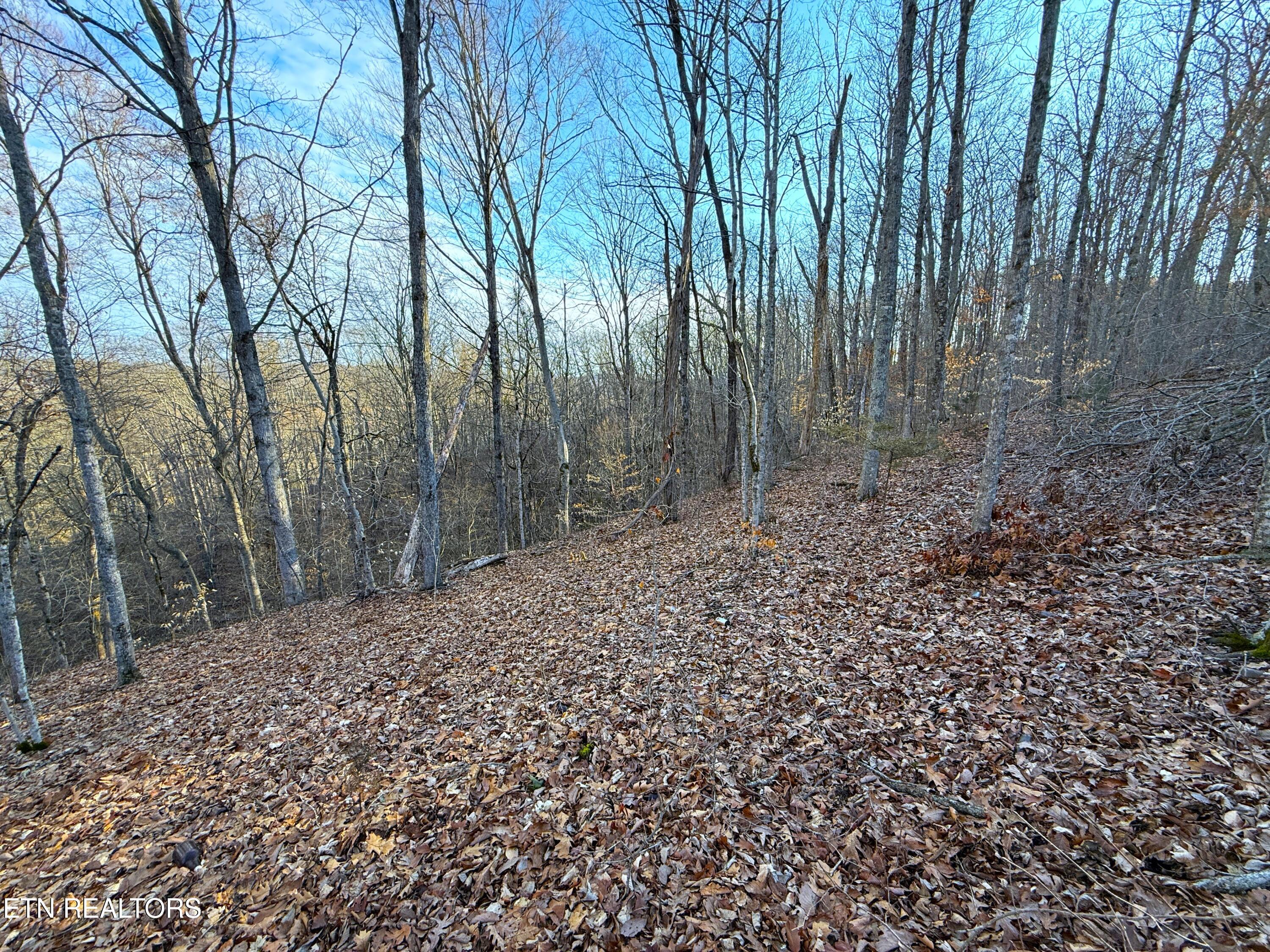 5-acres Red Hill Road Newport, TN 37821 - Photo 9 of 13 9