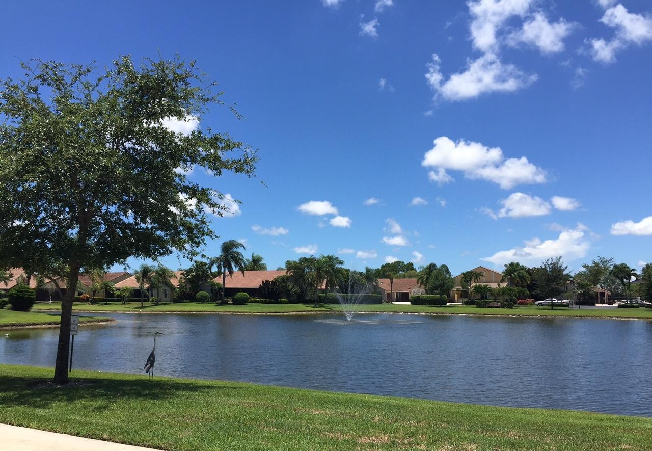 8675 Eagle Run Drive Boca Raton, FL 33434 - Photo 45 of 46 Across the lake with bird