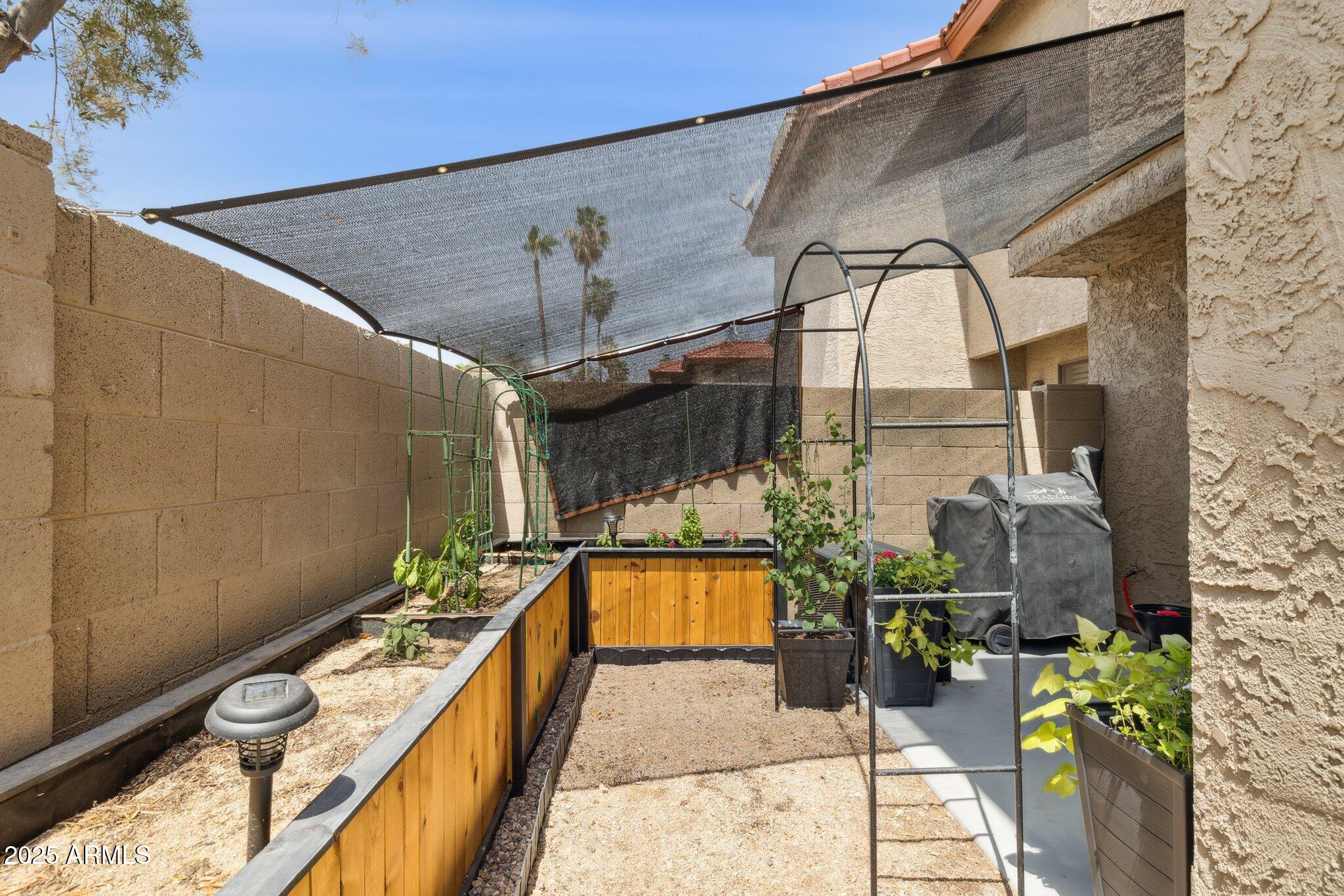 7756 North 19th Lane Phoenix, AZ 85021 - Photo 34 of 42 Private Patio2