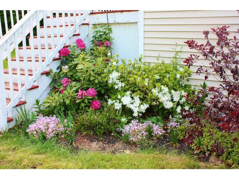 8 Smith Road Windham, ME 04062 - Photo 4 of 31 Yard/Garden.