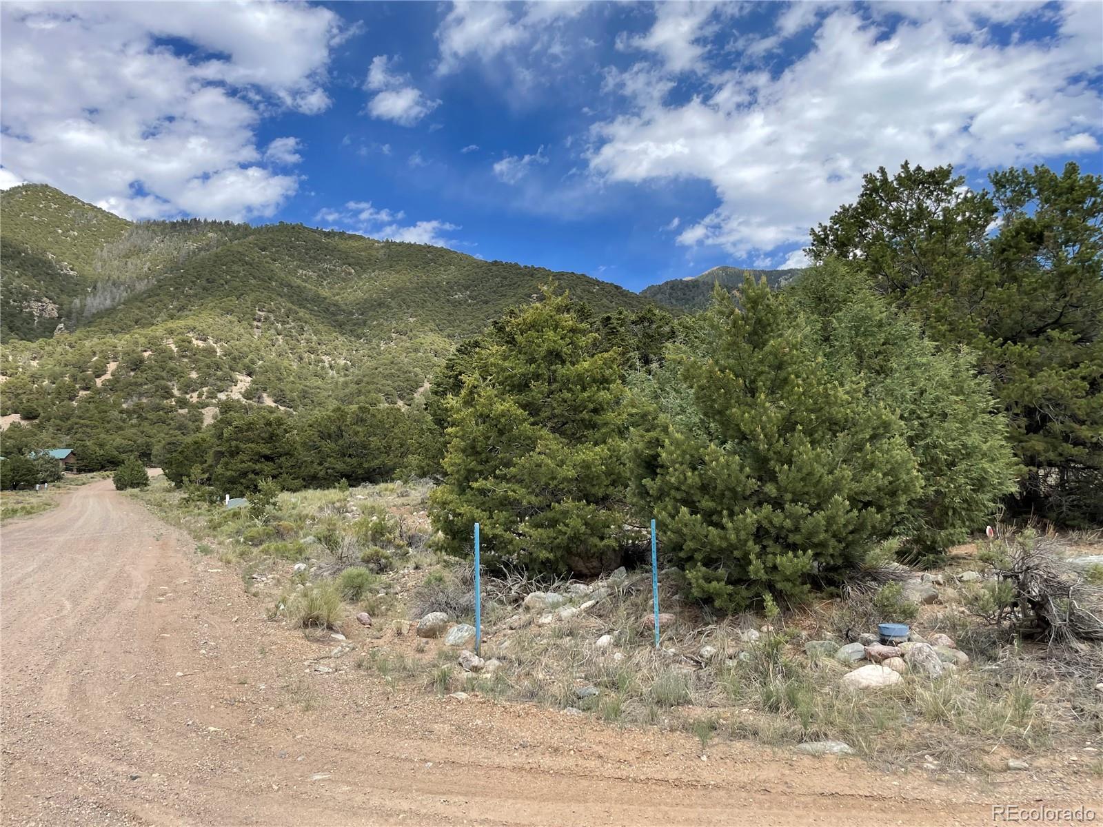 4303 Fallen Tree Way Crestone, CO 81131 - Photo 7 of 19