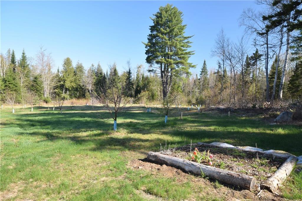 2007 Bancroft Road Bancroft, ME 04497 - Photo 15 of 25 Back yard