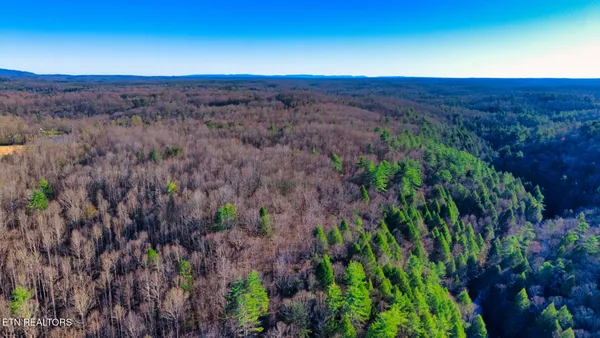 $147,700 | 3 Ervin Brown Road, Unit TRACT 3, Sunbright, TN 37872