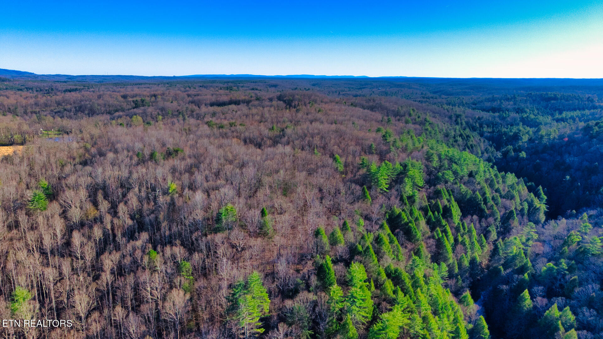 3 Ervin Brown Road, Unit TRACT 3 Sunbright, TN 37872 - Photo 1 of 7 DJI_20260328181446_0005_D_SOP