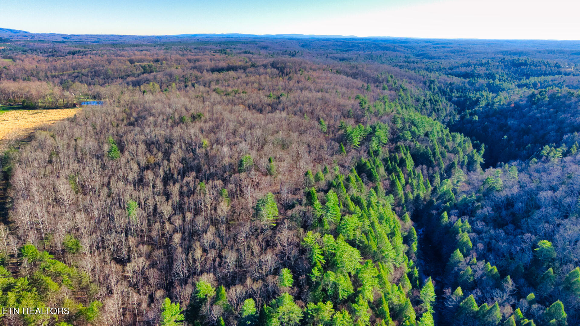 3 Ervin Brown Road, Unit TRACT 3 Sunbright, TN 37872 - Photo 7 of 7 DJI_20260328181442_0003_D_SOP