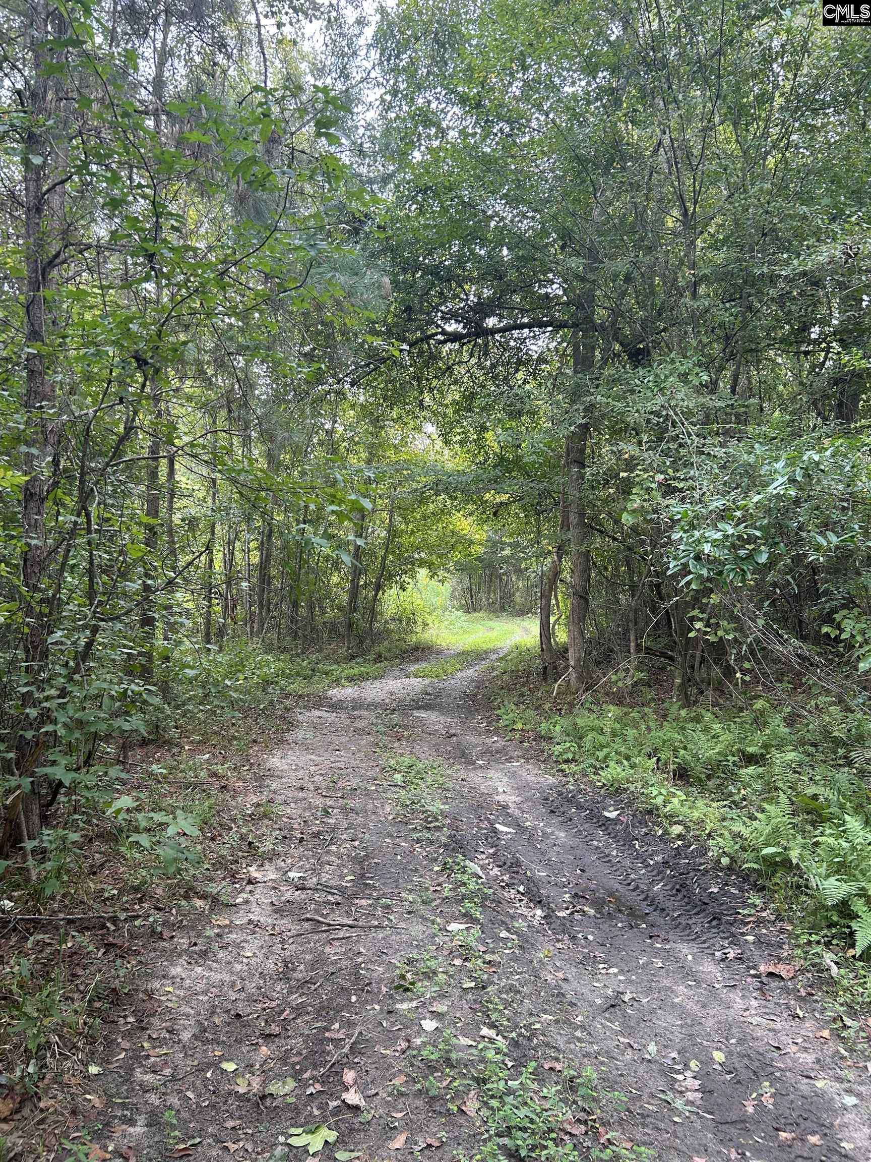 8200 Salem Road New Zion, SC 29111 - Photo 2 of 17
