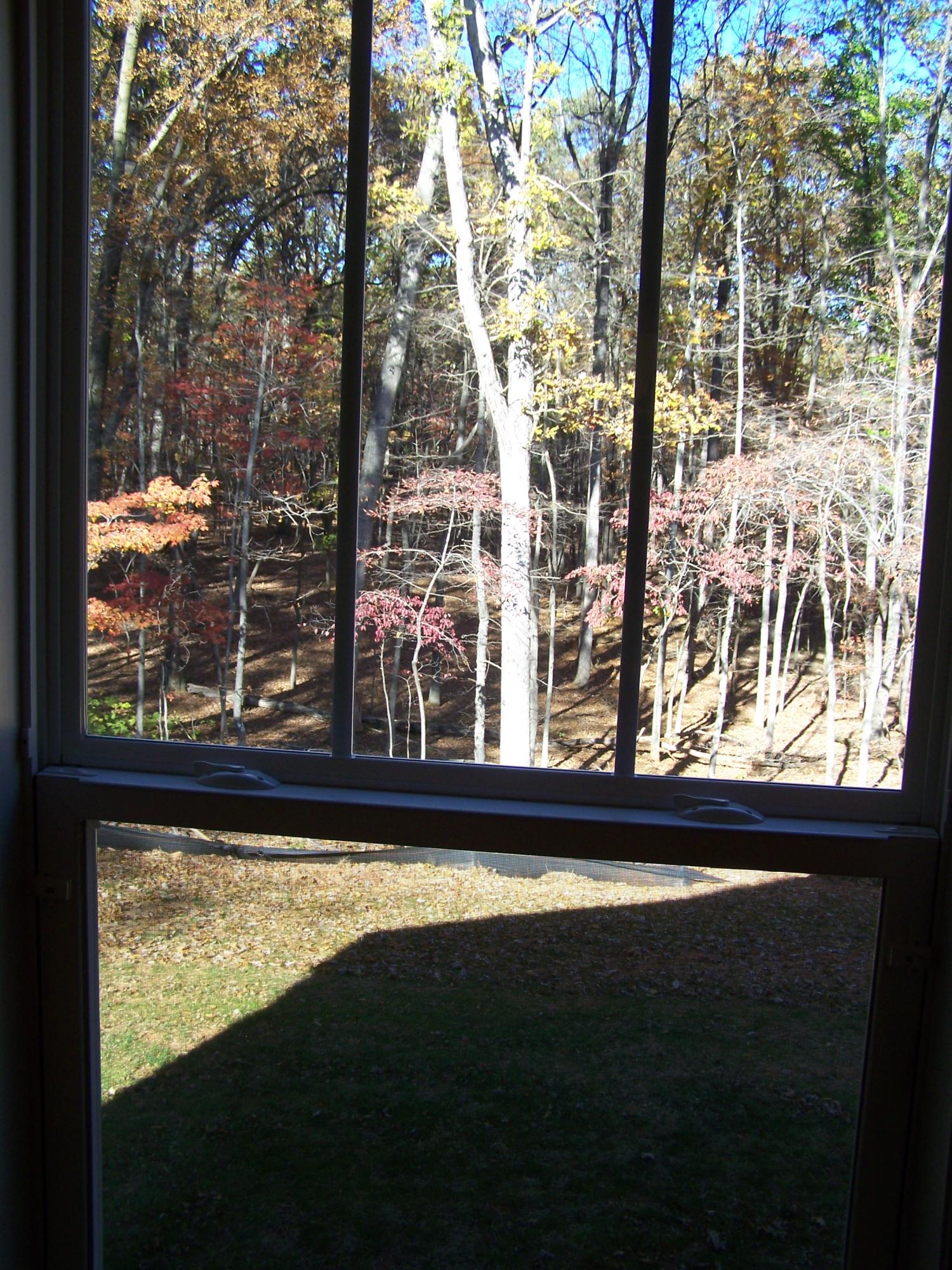 77 Mallard Point Road Wirtz, VA 24184 - Photo 25 of 37 Woodsy View from MBR