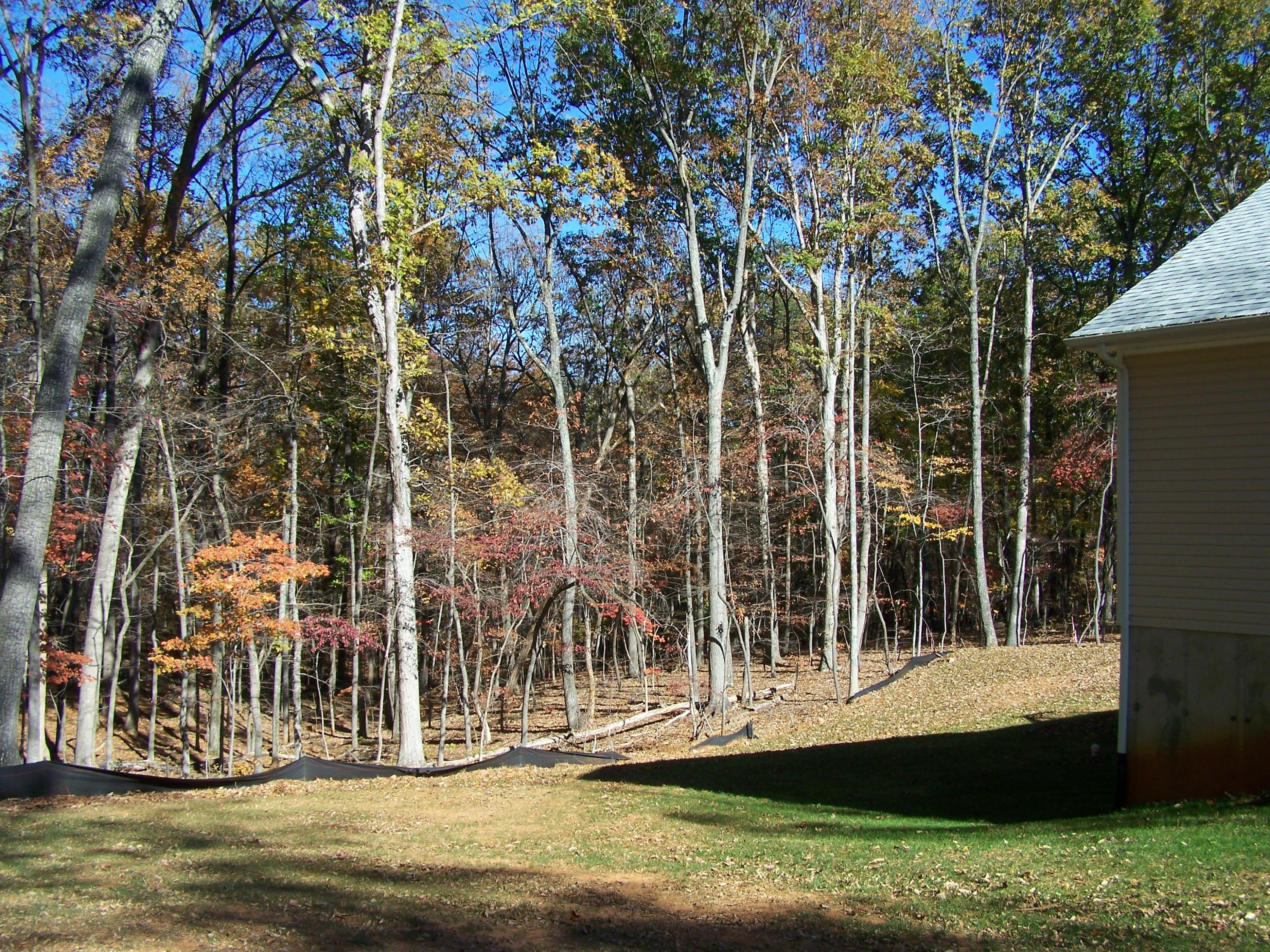 77 Mallard Point Road Wirtz, VA 24184 - Photo 5 of 37 Large, Open Backyard