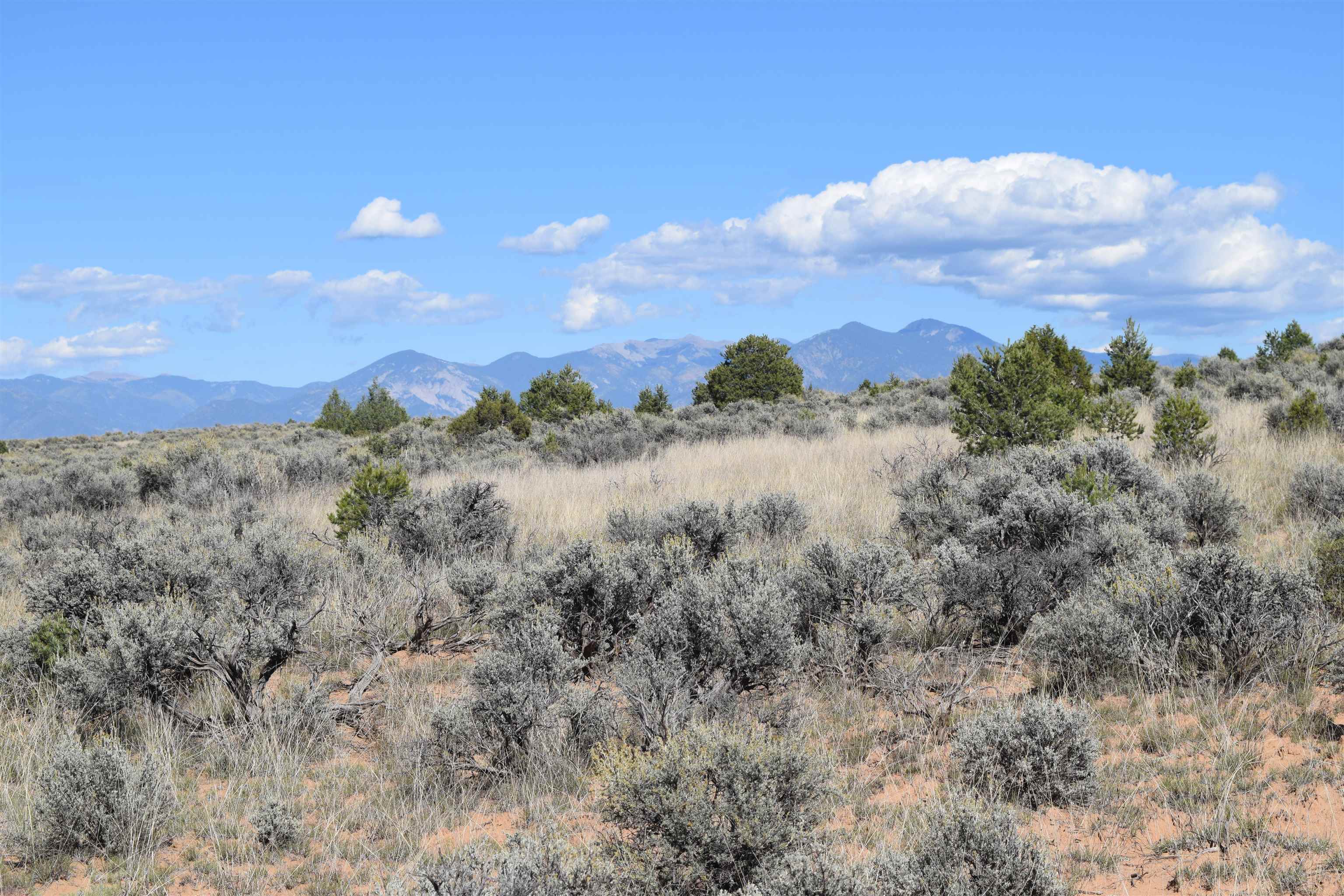 Matisse Road Carson, NM 87517 - Photo 26 of 29