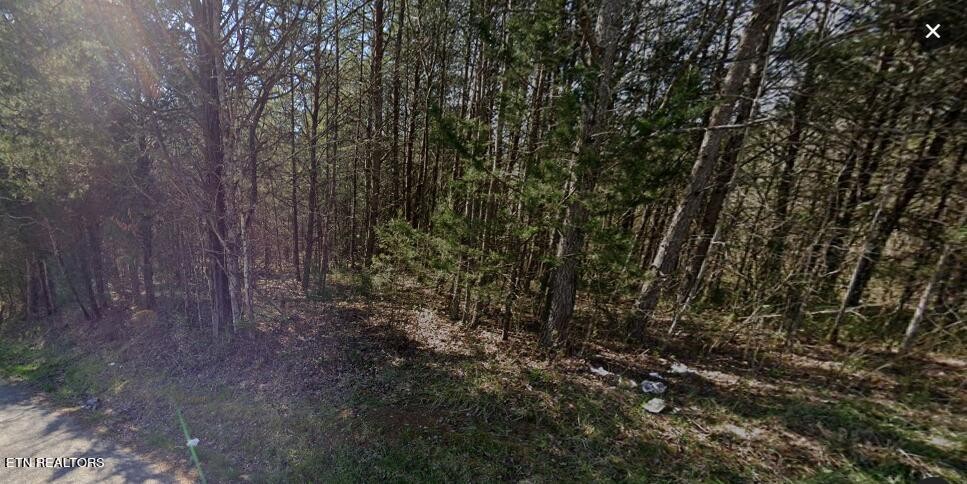 0 Payne Road Tellico Plains, TN 37385 - Photo 6 of 8