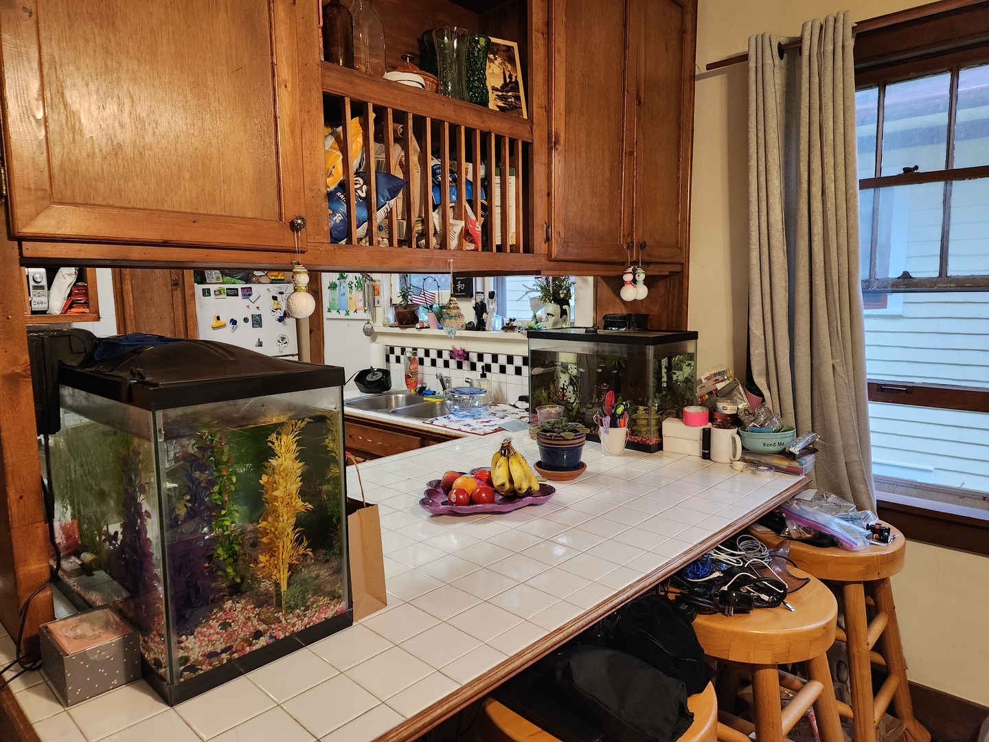 93 Elmhurst Street, Unit 1 Crystal Lake, IL 60014 - Photo 8 of 12