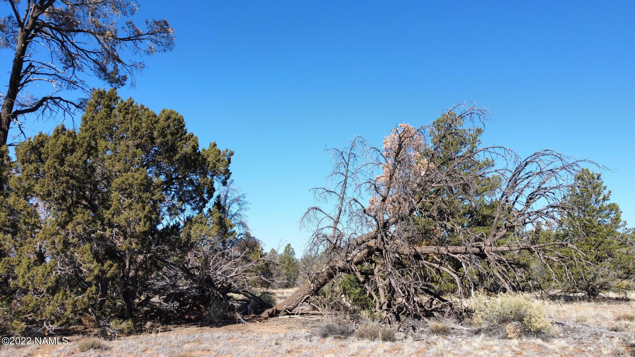 6125 East Woodland Rch- Parcel 2-10ac Road Williams, AZ 86046 - Photo 12 of 15 Photo_6619752_DJI_616_jpg_4345442_0_2021
