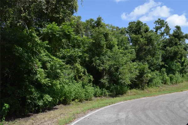 $137,000 | 0 Colony Drive, Angleton, TX 77515