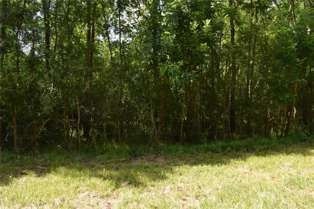 $137,000 | 0 Colony Drive, Angleton, TX 77515