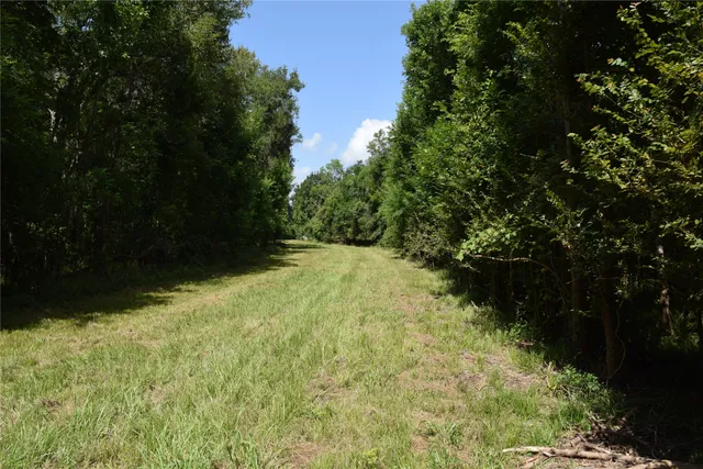 $137,000 | 0 Colony Drive, Angleton, TX 77515