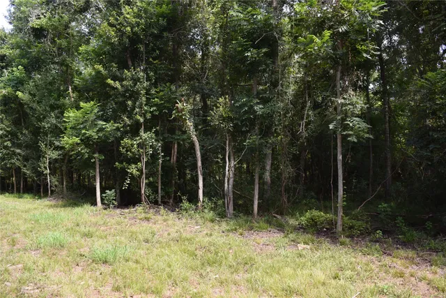 $137,000 | 0 Colony Drive, Angleton, TX 77515