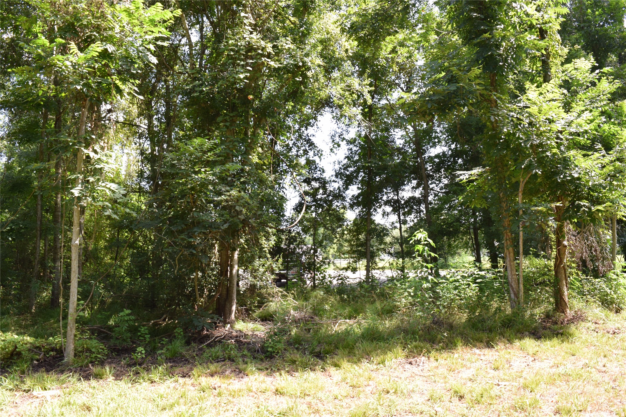 0 Colony Drive Angleton, TX 77515 - Photo 14 of 33