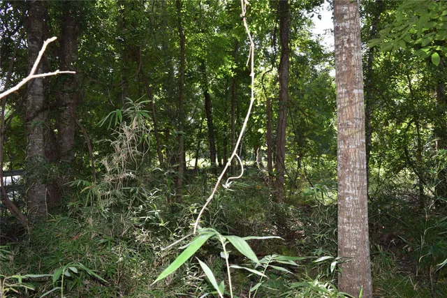 $137,000 | 0 Colony Drive, Angleton, TX 77515