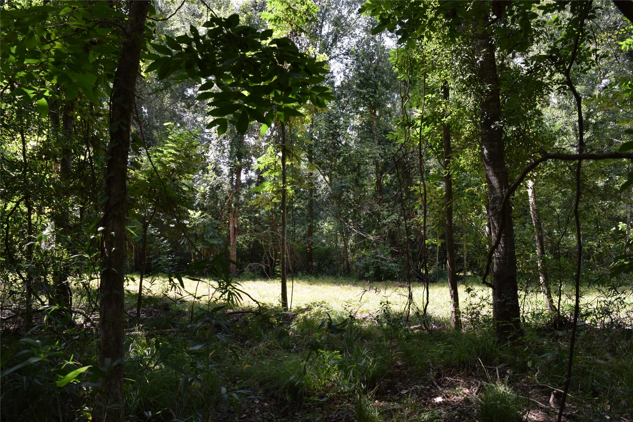 0 Colony Drive Angleton, TX 77515 - Photo 17 of 33