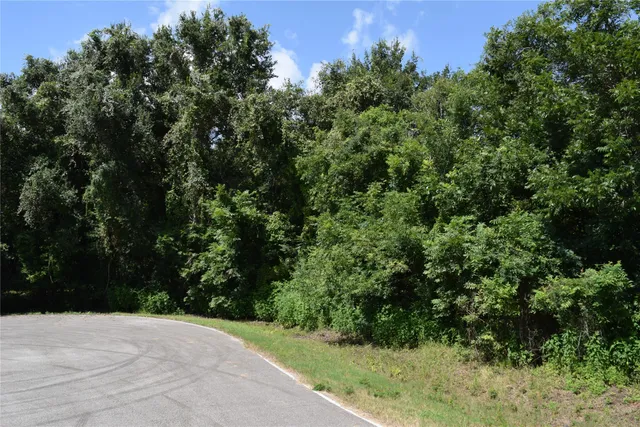 $137,000 | 0 Colony Drive, Angleton, TX 77515