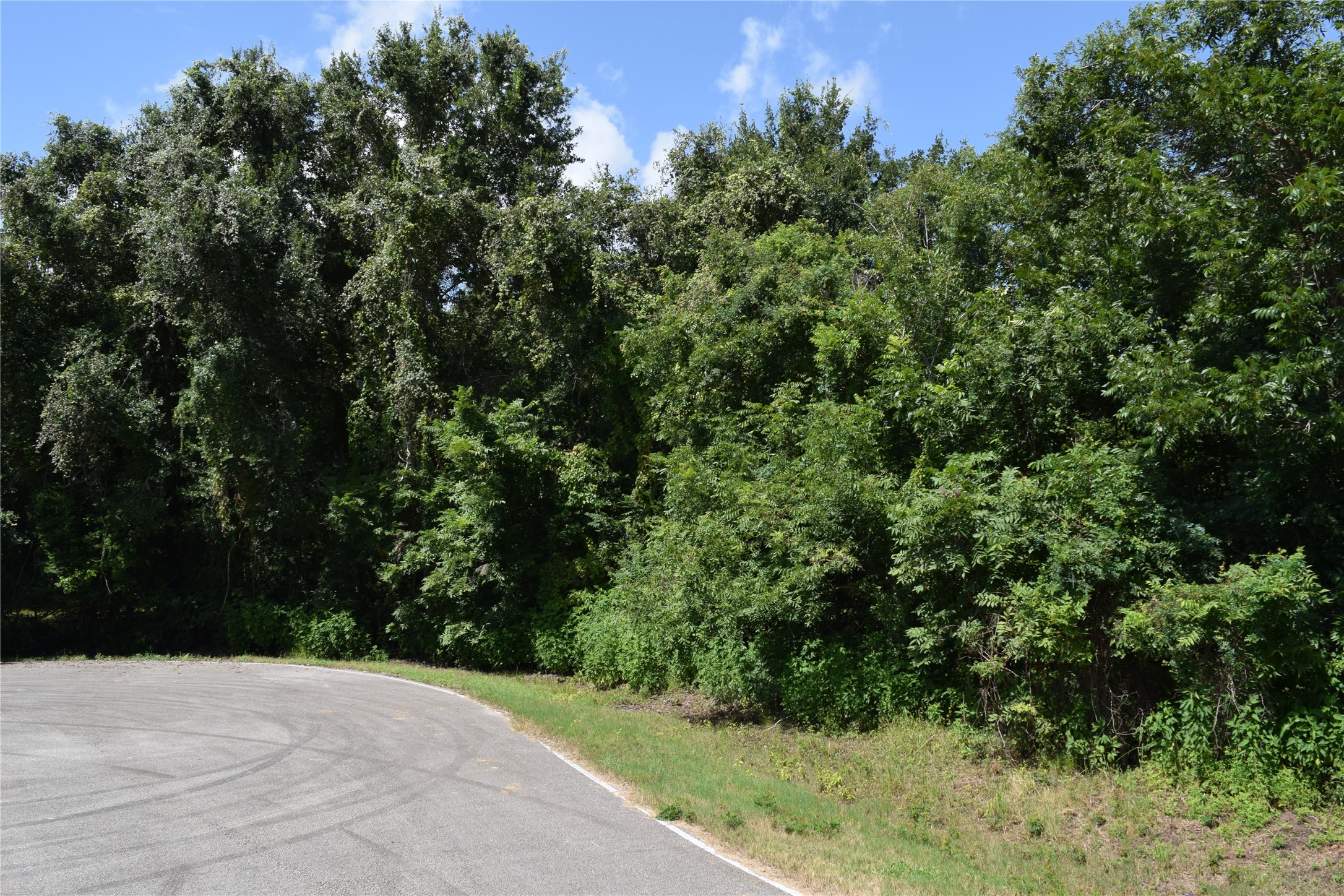 0 Colony Drive Angleton, TX 77515 - Photo 20 of 33