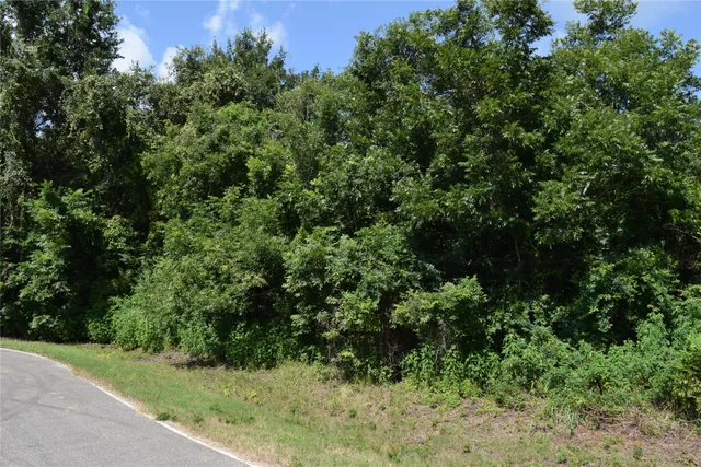 $137,000 | 0 Colony Drive, Angleton, TX 77515