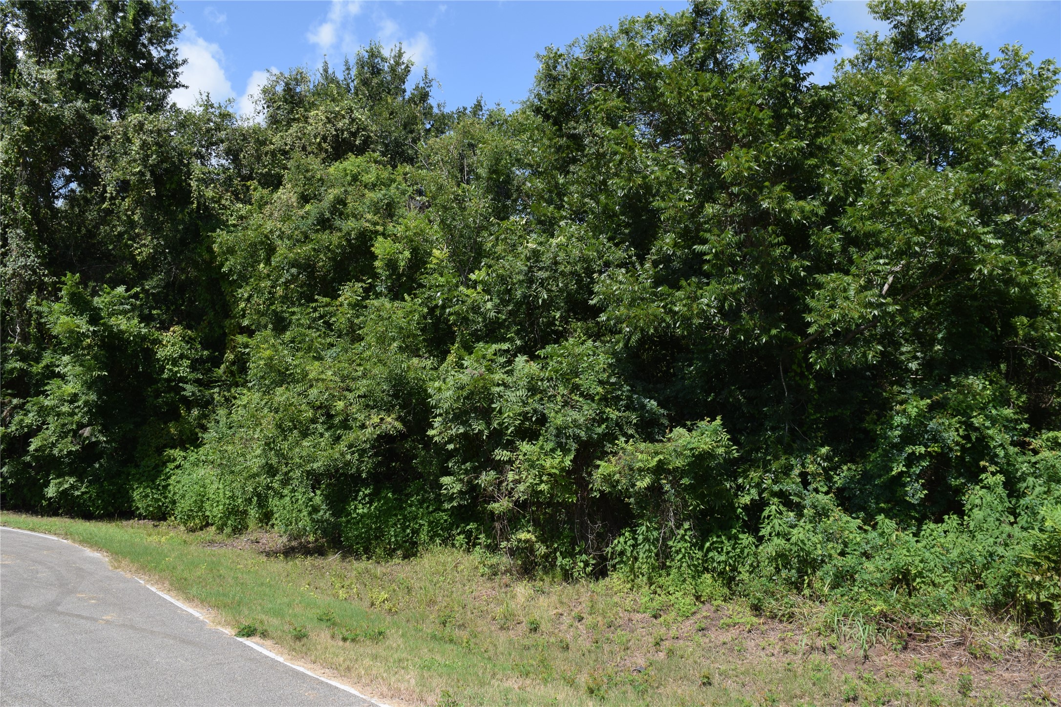 0 Colony Drive Angleton, TX 77515 - Photo 21 of 33