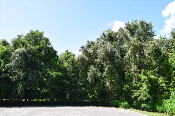 $137,000 | 0 Colony Drive, Angleton, TX 77515