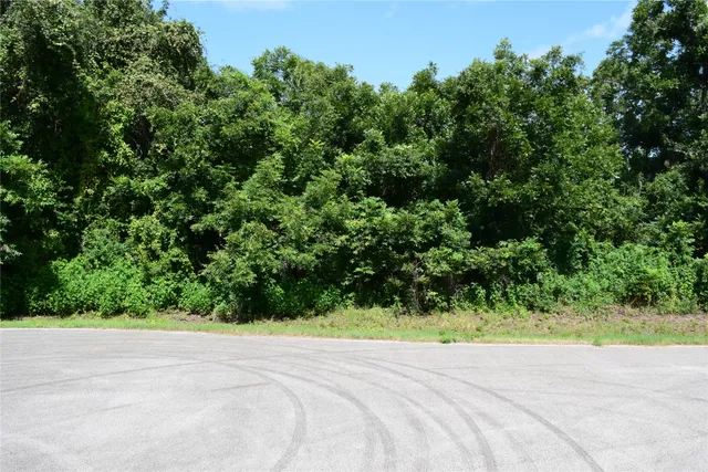 $137,000 | 0 Colony Drive, Angleton, TX 77515