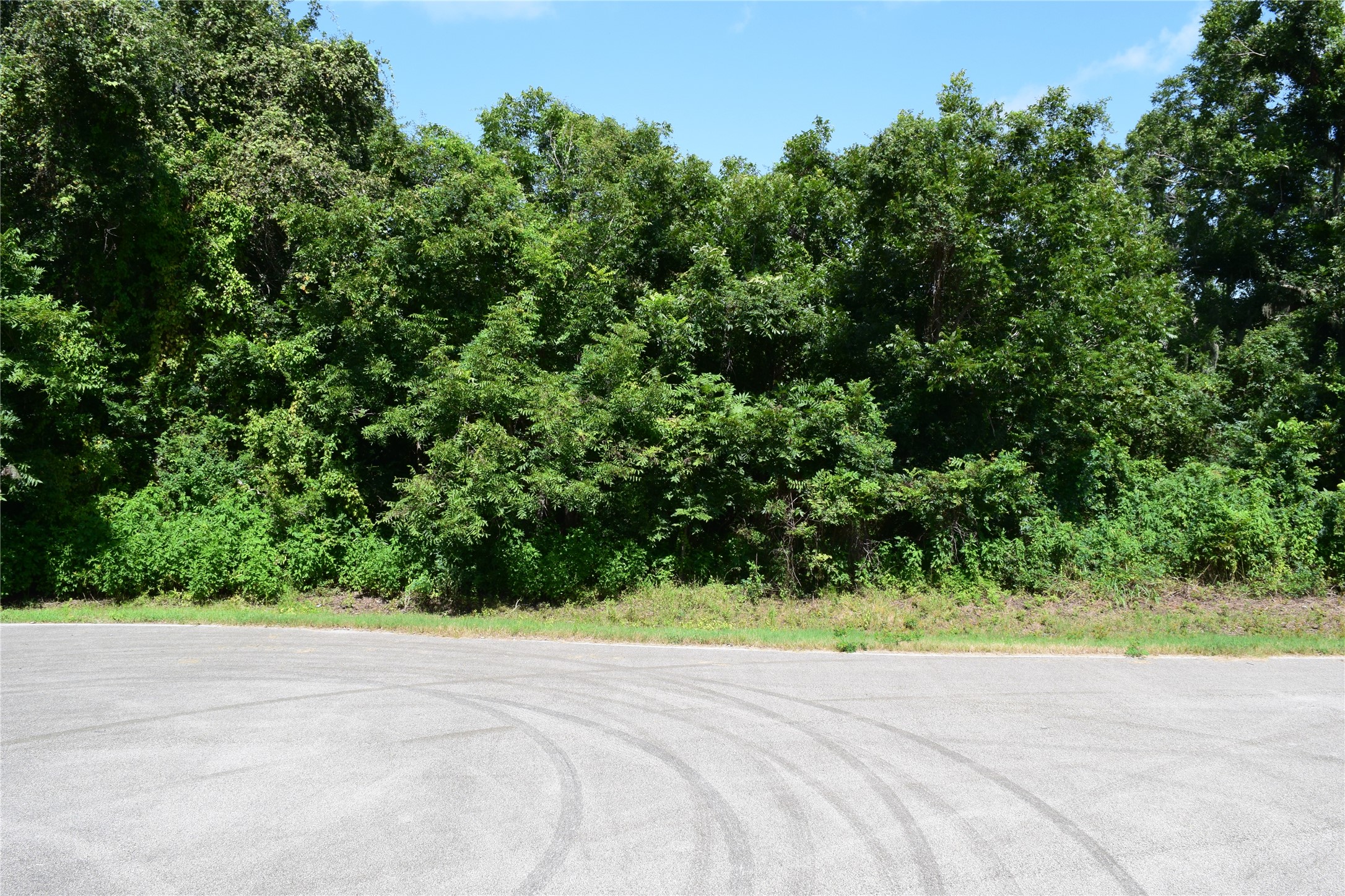 0 Colony Drive Angleton, TX 77515 - Photo 25 of 33