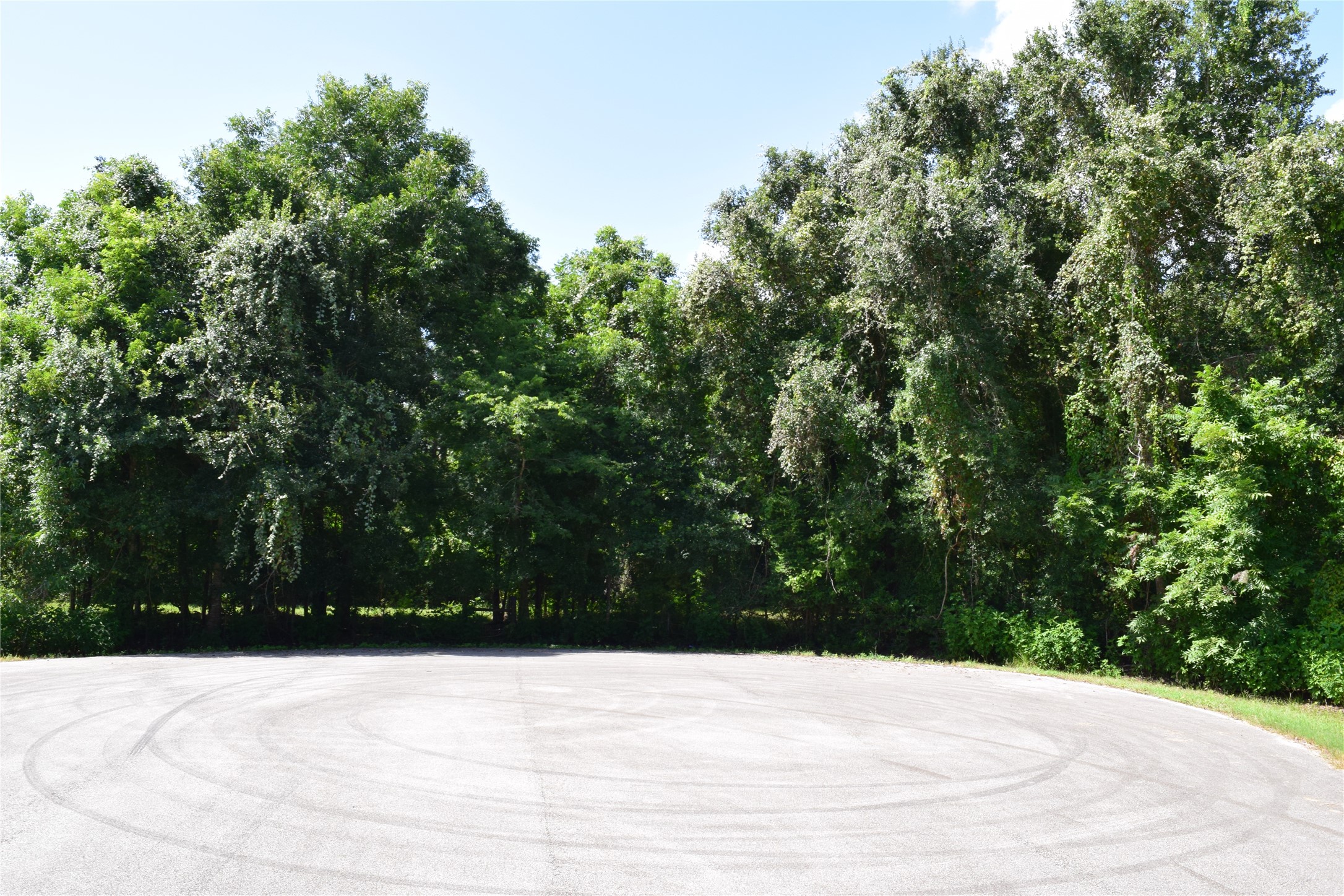 0 Colony Drive Angleton, TX 77515 - Photo 4 of 33