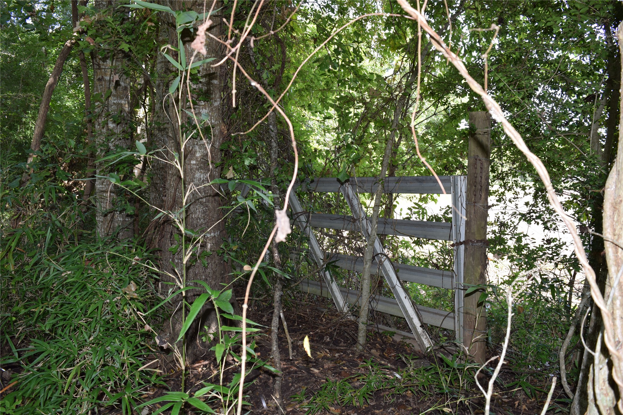 0 Colony Drive Angleton, TX 77515 - Photo 6 of 33